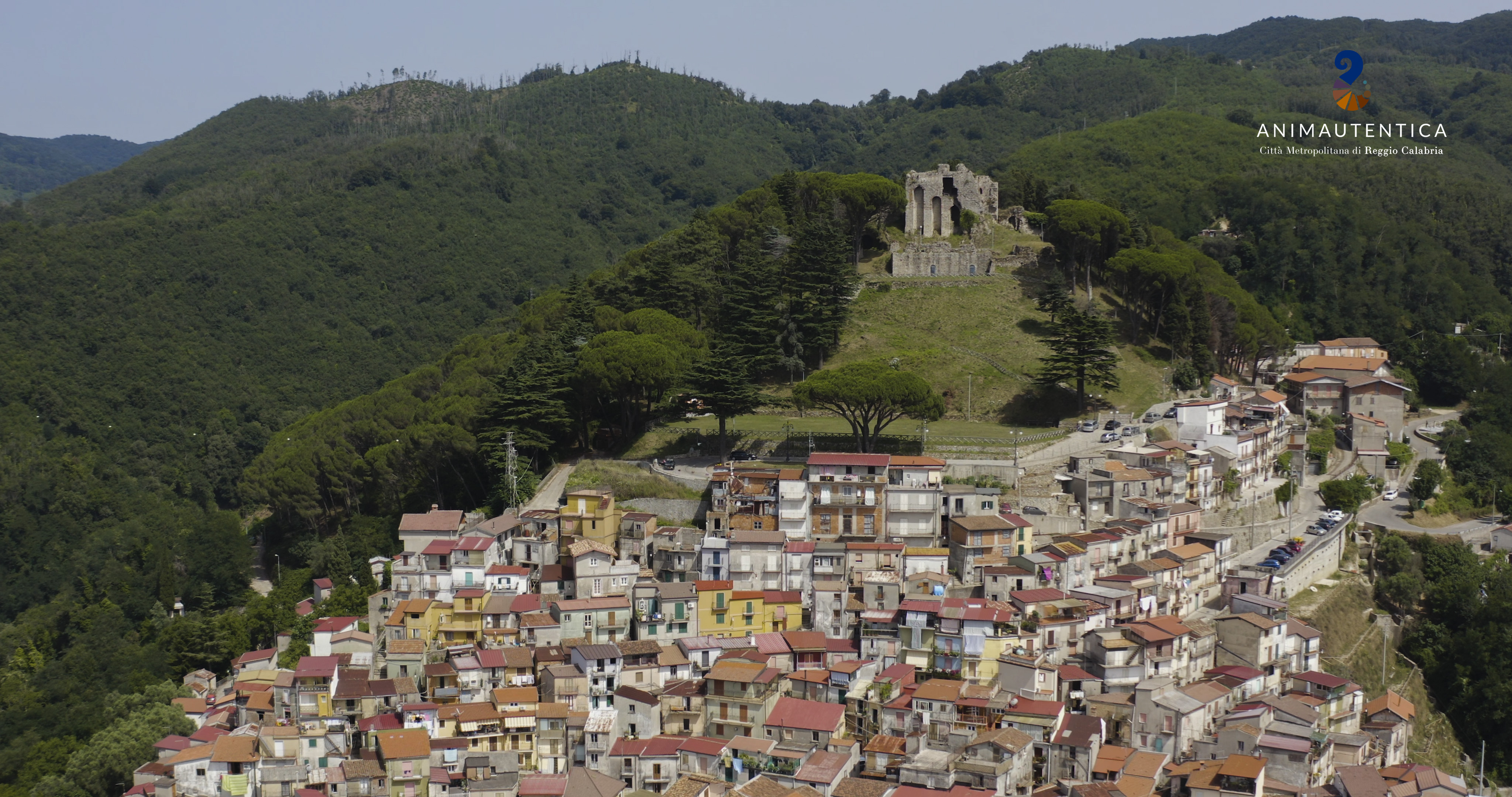 Immagine di copertina per La Citt Metropolitana lancia il progetto BiodiverCity per il monitoraggio del verde urbano. Il 15 ottobre a Palazzo Alvaro la giornata di formazione per tutti i Comuni metropolitani