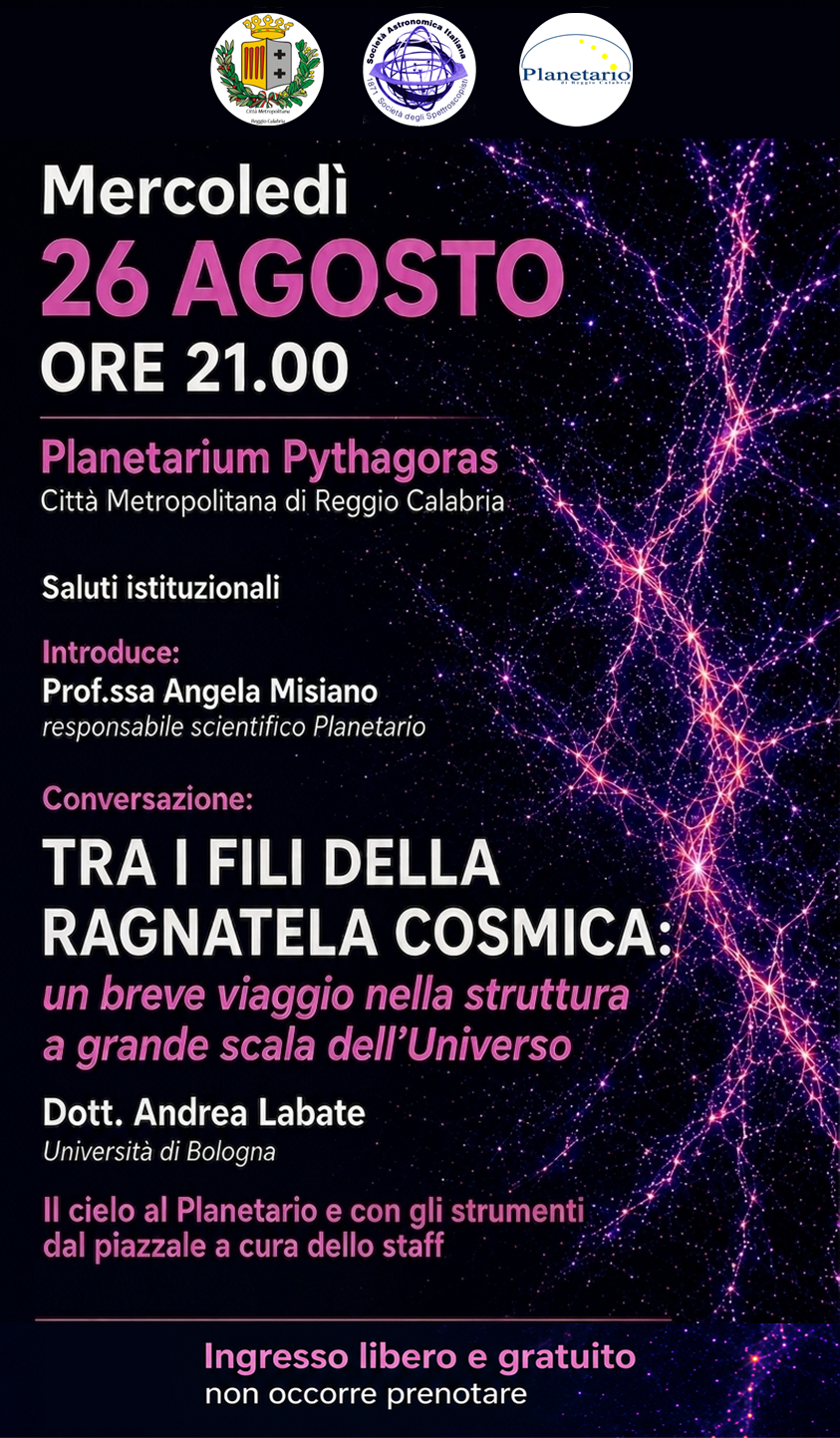 Tra i fili della ragnatela cosmica: un viaggio nella struttura a grande scala dell�Universo
